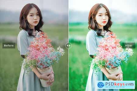 Datolite Mobile & Desktop Lightroom Presets