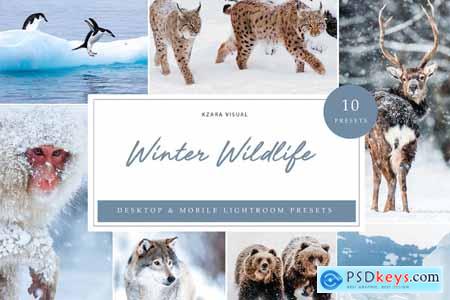 10 x Lightroom Presets, Winter Wildlife Presets