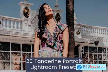 20 Tangerine Portrait Lightroom Presets
