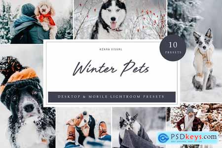 10 x Lightroom Presets, Winter Pets Presets