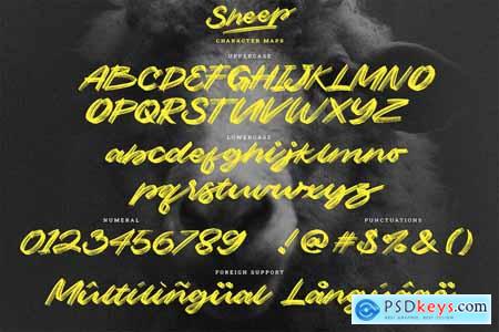 Sheep Dry Brush Script Font