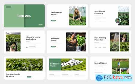 Leava - Agriculture PowerPoint Template