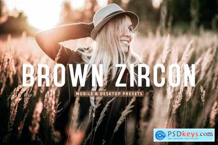Brown Zircon Mobile & Desktop Lightroom Presets
