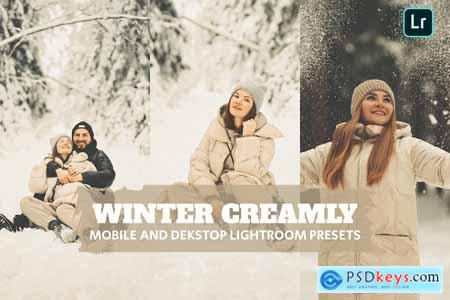 Winter Creamly Lightroom Presets Dekstop Mobile