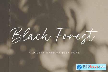 Black Forest Script Font