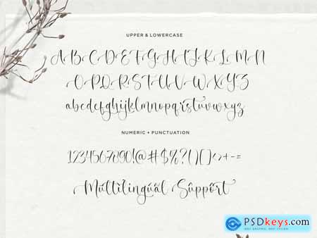 Winter Fantasy Script Font
