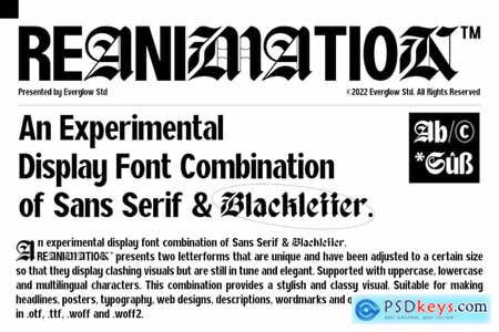 Reanimation - Display Font Combination