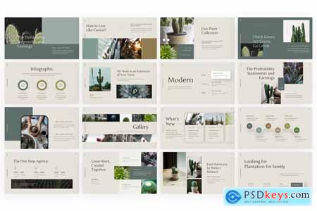 Luxia Aesthetic PowerPoint Template