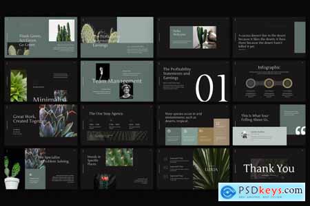 Luxia Aesthetic PowerPoint Template
