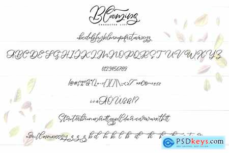 Blooming Calligraphy Script Font