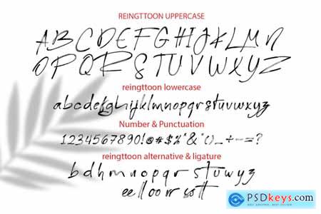 Reingttoon Handwritten Font
