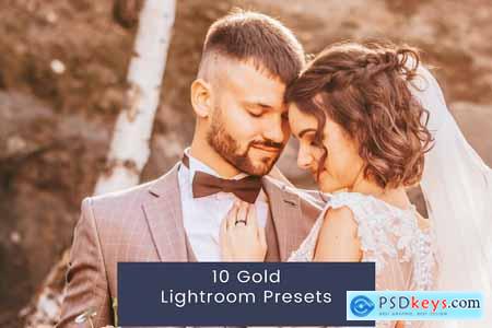 10 Gold Lightroom Presets