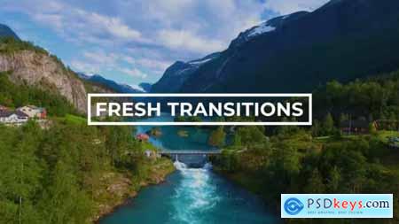 Fresh Transitions 43220406