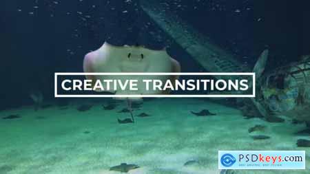 Creative Transitions 43220143
