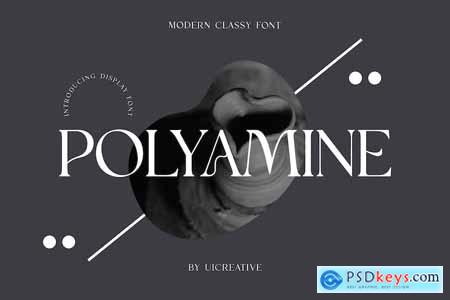 Polyamine Modern Classy Serif Font