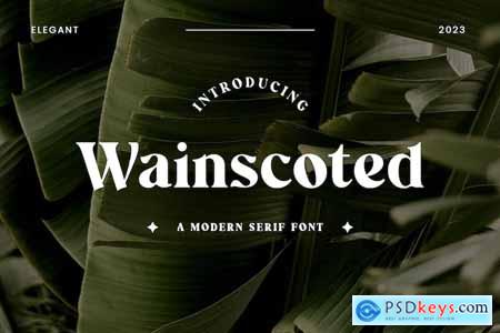 Wainscoted Modern Serif Font