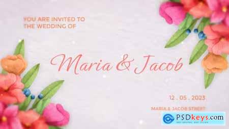 Wedding Invitation Intro 43522208
