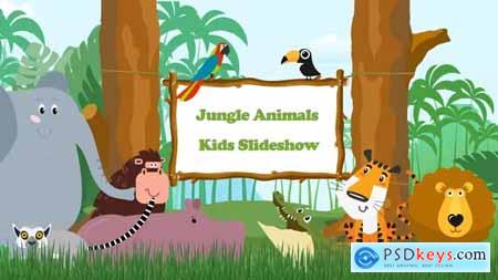 Jungle Animals Kids Slideshow 43443265