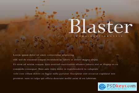 Blaster - Serif Font