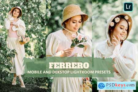 Ferrero Lightroom Presets Dekstop and Mobile