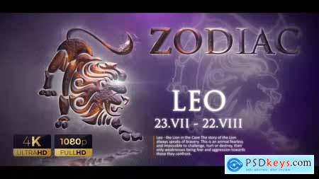 Zodiac 23103284