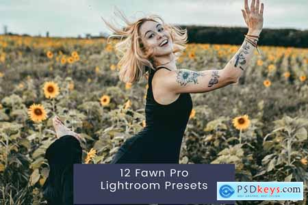 12 Fawn Pro Lightroom Presets