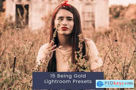 15 Being Gold Lightroom Presets