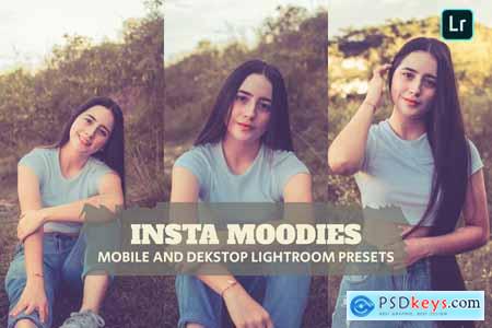 Insta Moodies Lightroom Presets Dekstop and Mobile