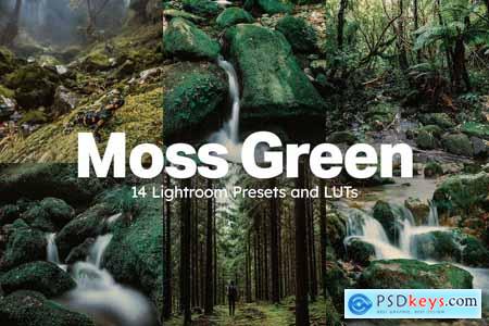14 Moss Green Lightroom Presets and LUTs
