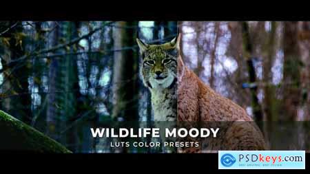 Wildlife Moody Luts 43542703