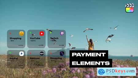 Payment Elements 43366093