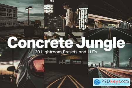 20 Concrete Jungle Lightroom Presets and LUTs