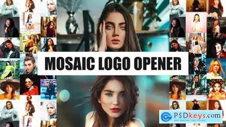 Mosaic Logo Opener I Fast Dynamic Intro 44523711