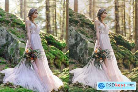 20 Boho Bliss Lightroom Presets and LUTs
