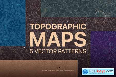 Topographic Vector Patterns