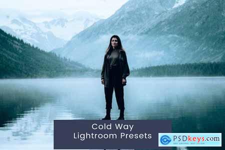 Cold Way Lightroom Presets