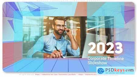 Plexus Corporate Timeline Project 44640304