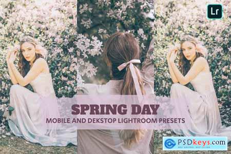 Spring Day Lightroom Presets Dekstop and Mobile