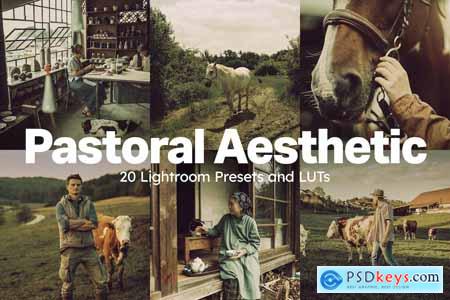 20 Pastoral Aesthetic Lightroom Presets and LUTs