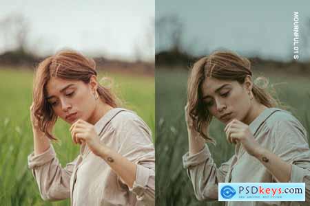 20 Melancholy Lightroom Presets and LUTs