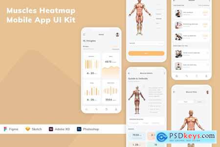 Muscles Heatmap Mobile App UI Kit