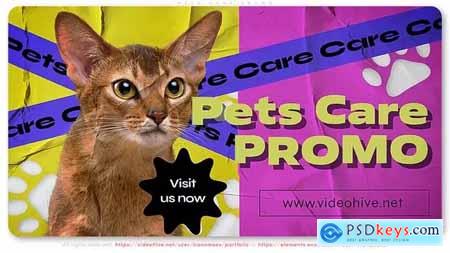 Pets Care Promo 45024534