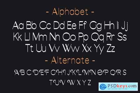 ABSORBED - Modern Sans Font