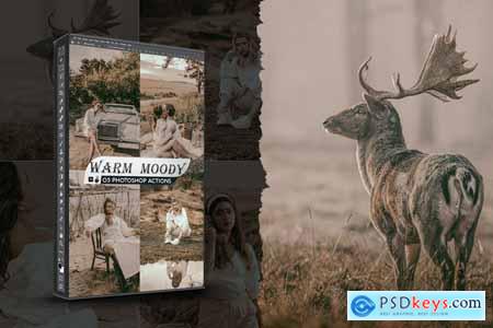 Warm Moody Photoshop Actions