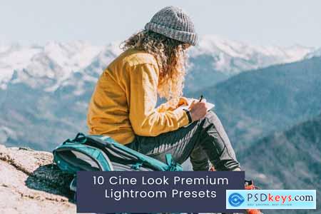 10 Cine Look Premium Lightroom Presets