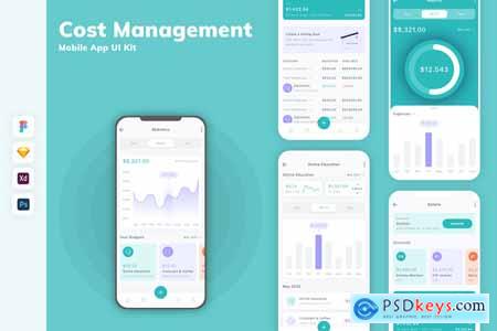 Cost Management Mobile App UI Kit