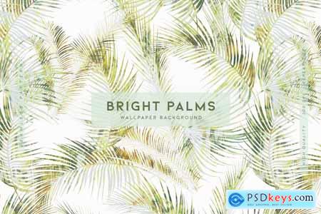 Bright Palms