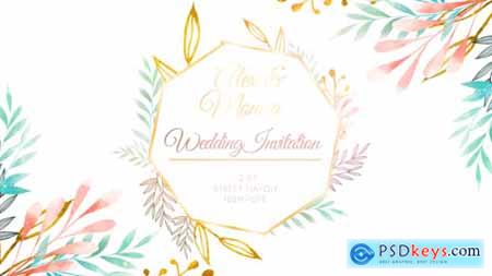 Wedding Invitation Intro 44837797