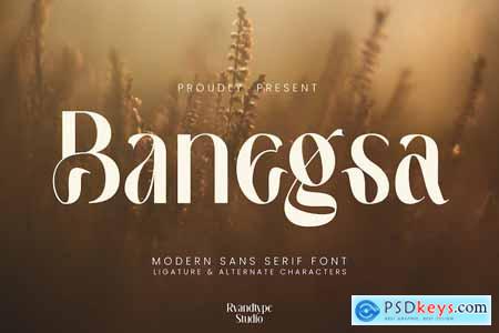 Banegsa