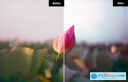 6 Summer vibes Lightroom and Photoshop Presets